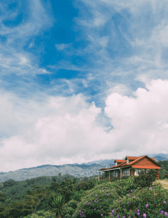 Finca Tepetzintla